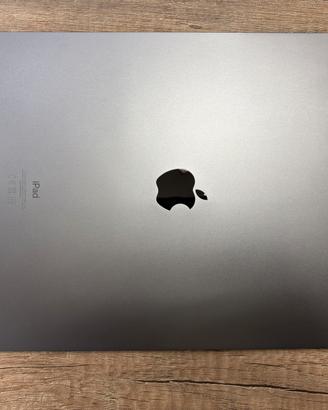 ipad 12.9 pro