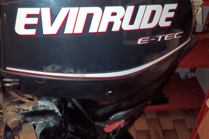Motore evinrude etec 30 hp