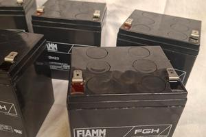 Batterie FIAMM 12V 5Ah