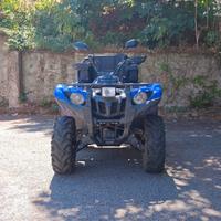 Yamaha Grizzly 700