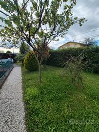 Villa singola Dossobuono