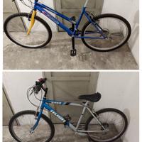 Due mountain-bike adulto e ragazzo