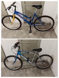 Due mountain-bike adulto e ragazzo