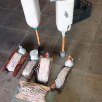 palamito più ancore