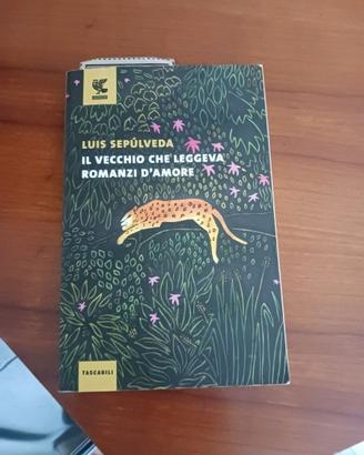 Libro; 'Il vecchio che leggeva Romanzi d'amore'