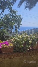 Appartamento Rio [Cod. rif 3325134VRG]