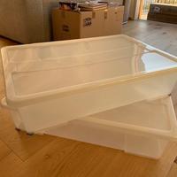 coppia contenitori plastica sotto letto ikea