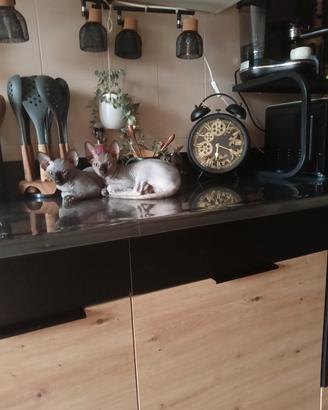 cucina 