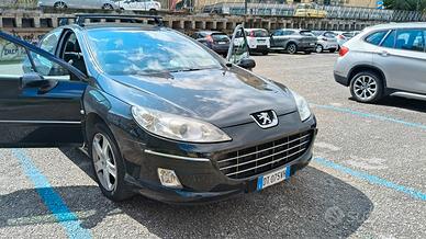 Peugeot 407 Felina