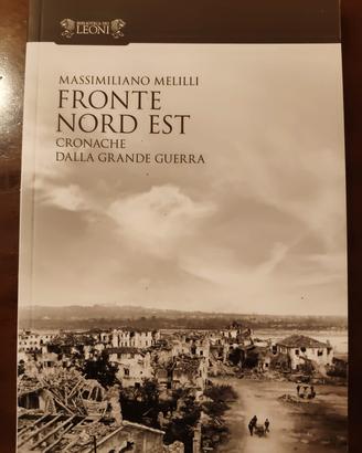 fronte nord-est