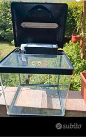 ACQUARIO 18L AMTRA (LUCI NON FUNZIONANTI)