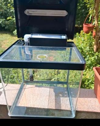 ACQUARIO 18L AMTRA (LUCI NON FUNZIONANTI)