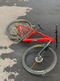 Bici MTB orbea MX50 29