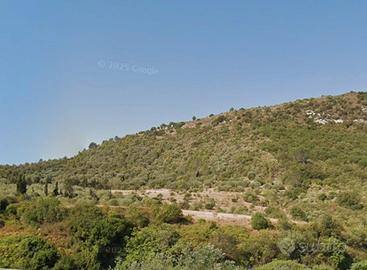 Terreno 2 ettari in cambio di lavori edili