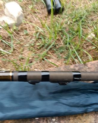 canna bolognese Daiwa Luvias Evo come nuova