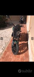 Benelli leoncino