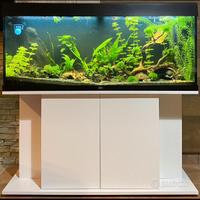 Acquario juwel rio 240