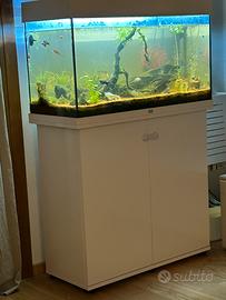 Juwel rio 125 con mobile dedicato