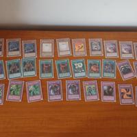 Yu-Gi-Oh Burn  Deck