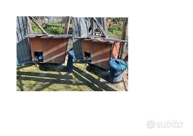 Casetta in legno per cane grande