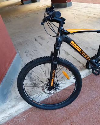 mountan bike mai usata