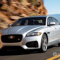 Musata e porte jaguar xf 2019