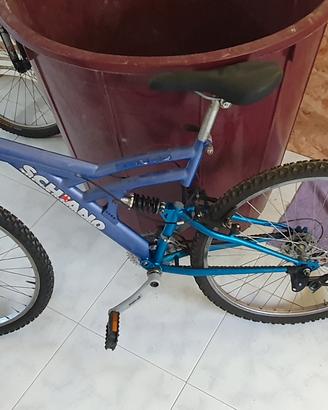 mountain bike Schiano