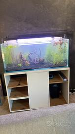 Acquario