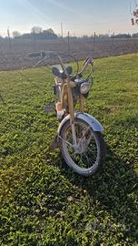 Ciclomotore Cariani Gimk