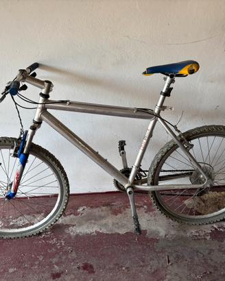 Mountain bike bicicletta