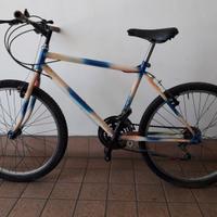 Mountain Bike ruote da 26"