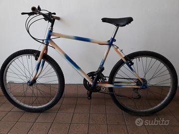 Mountain Bike ruote da 26"