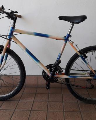 Mountain Bike ruote da 26"