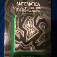 Calcolo infinitesimale e algebra lineare