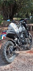 Benelli Trail