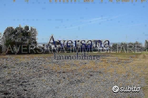 Terreno agricolo di 8950 mq con fronte starda - Vista 3