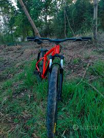 bici  mtb