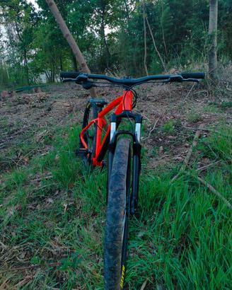 bici  mtb