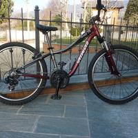 Bici da 24