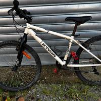 Bicicletta per ragazzi