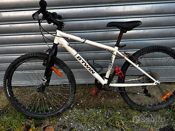 Bicicletta per ragazzi