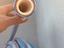 Immagine 5
