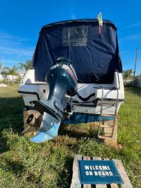 ? Saver 620 Manta + Evinrude 150 CV iniezione