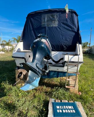 ? Saver 620 Manta + Evinrude 150 CV iniezione
