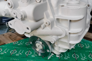 Invertitore ZF25A revisionato ratio 2:1