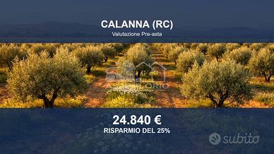 Immobile in asta di 464310 m² a Calanna