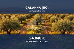 Immobile in asta di 464310 m² a Calanna
