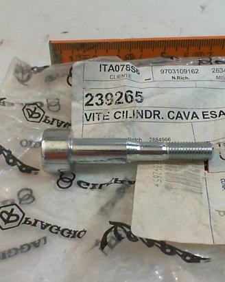 VITE CARBURATORE VESPA PX PIAGGIO 239265