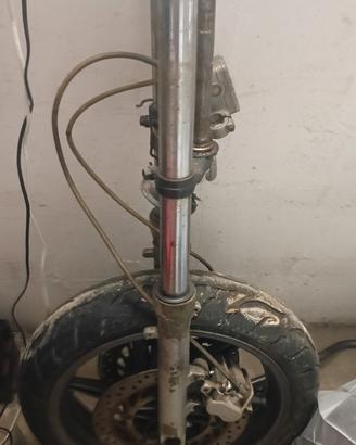 AVANTRENO COMPLETO HONDA HORNET  CBR 600 1998 2002