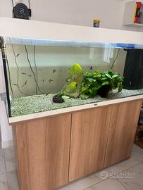 Acquario juwel 240 litri